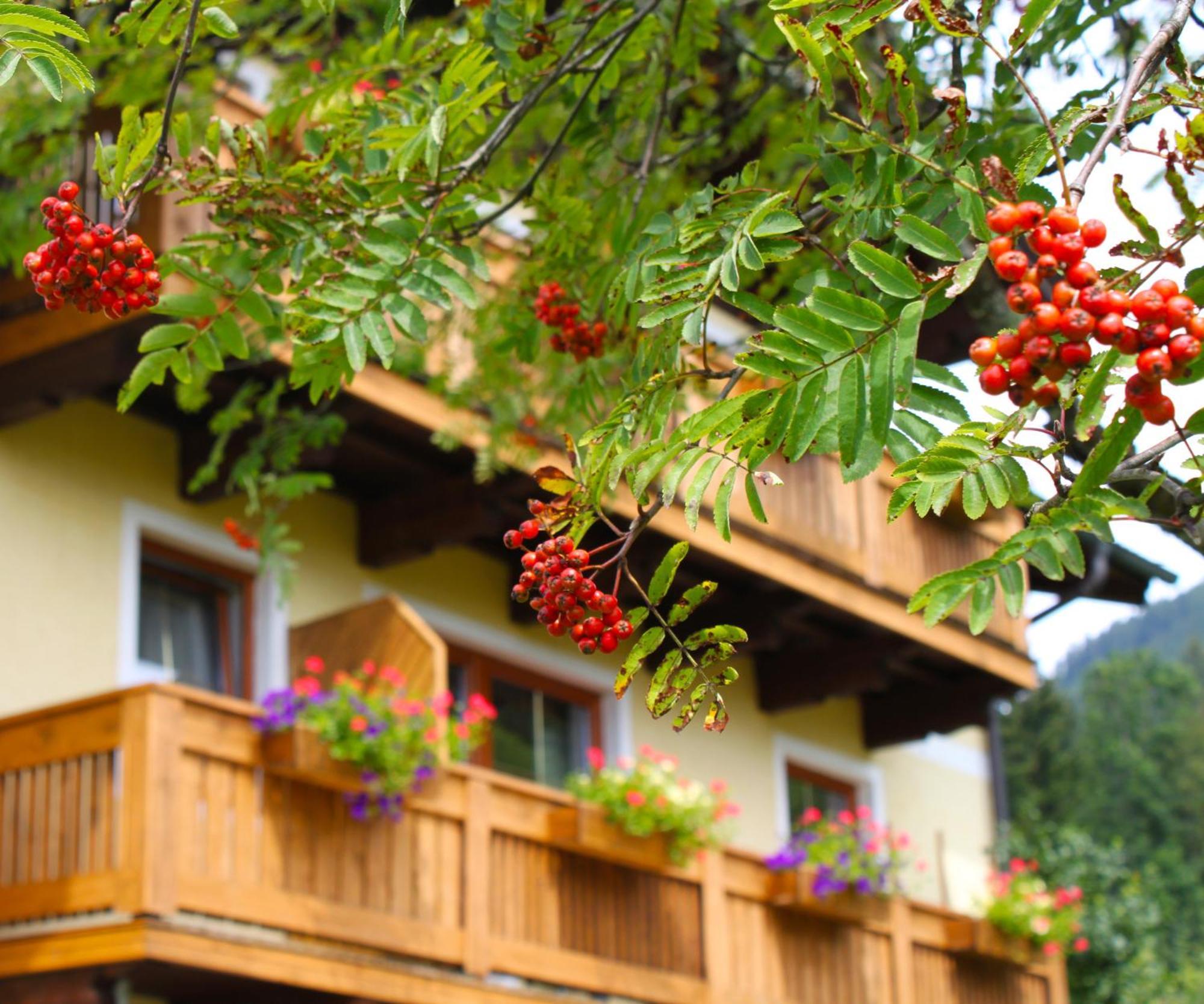 Haus Farmer Sankt Martin am Tennengebirge Exterior photo